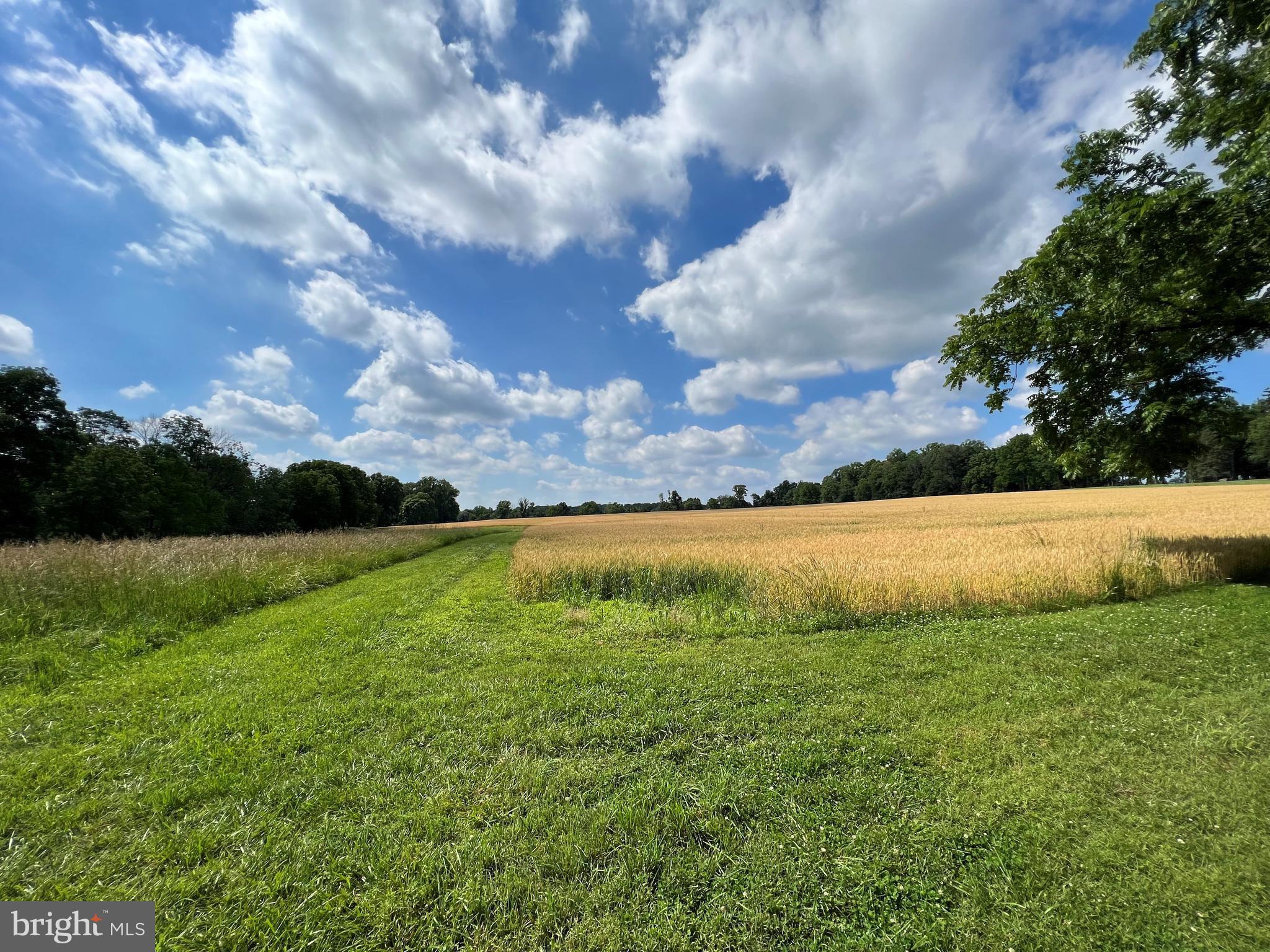 315 STONEY KNOLL LANE LOT 2