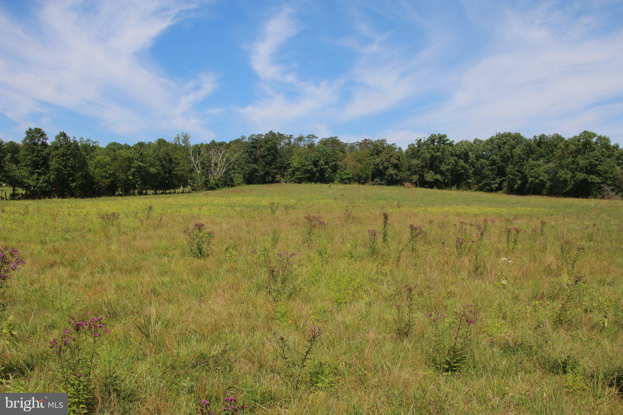 OFF MOUNT OLIVE ROAD