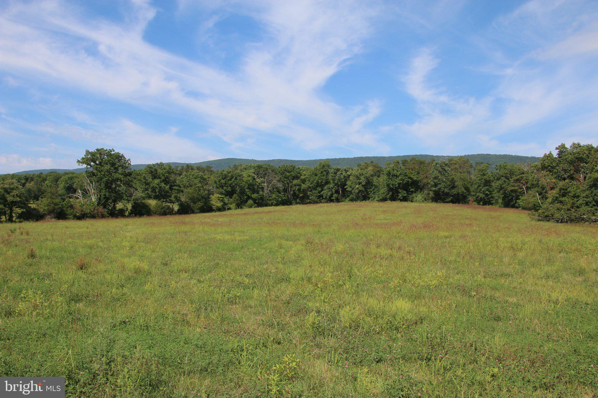 OFF MOUNT OLIVE ROAD