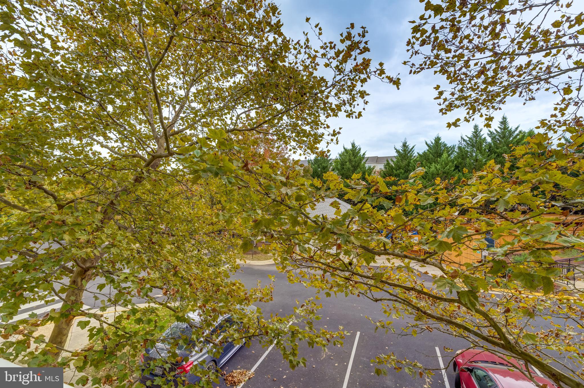 SUMMERFIELD - Residential Lease