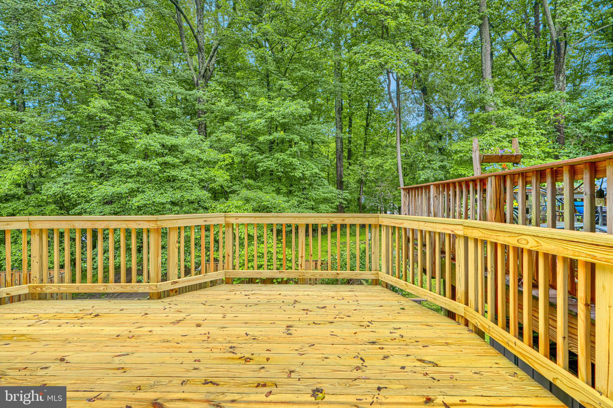 BONIFANT WOODS - Residential