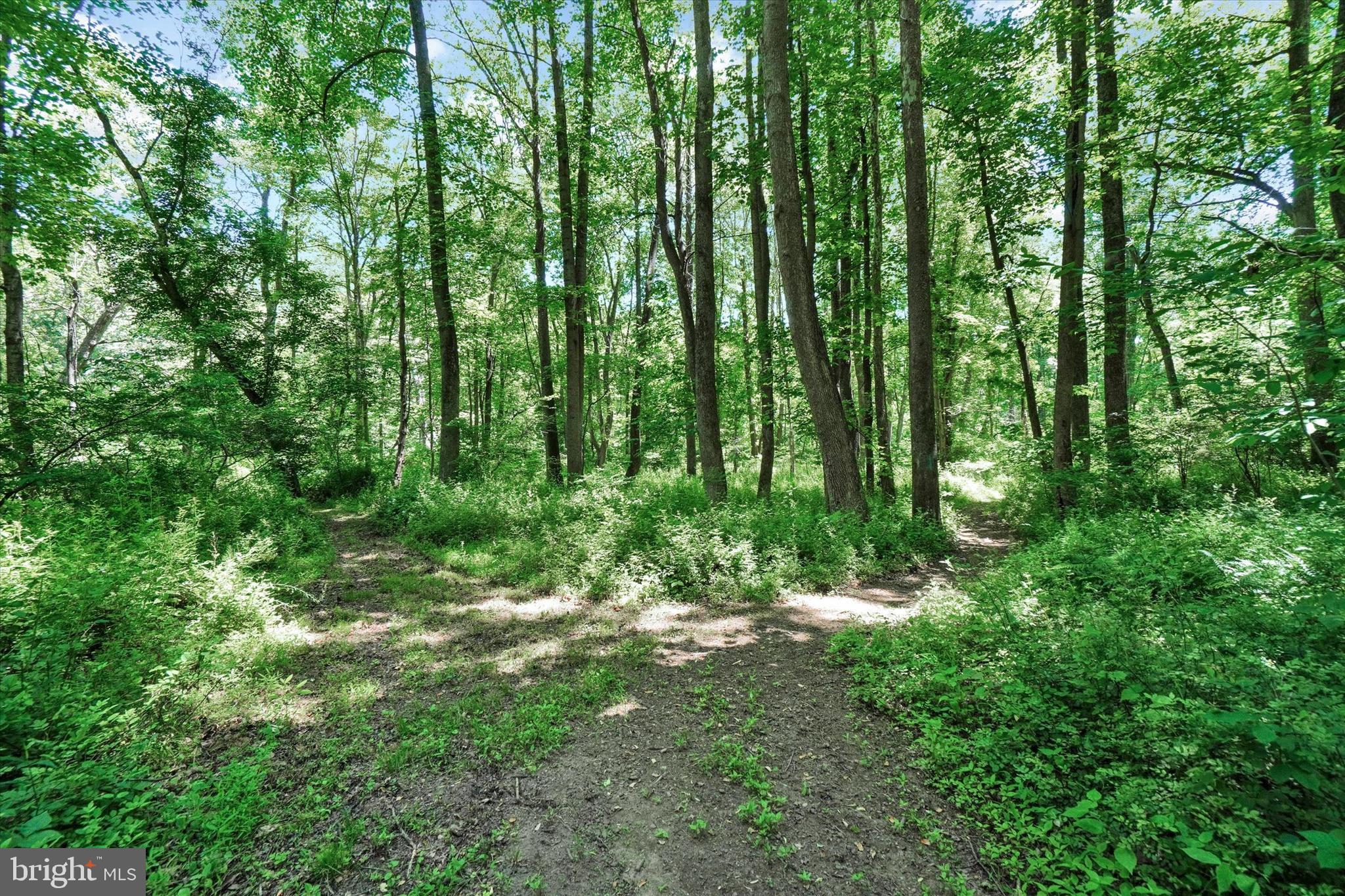 GUNPOWDER - Residential