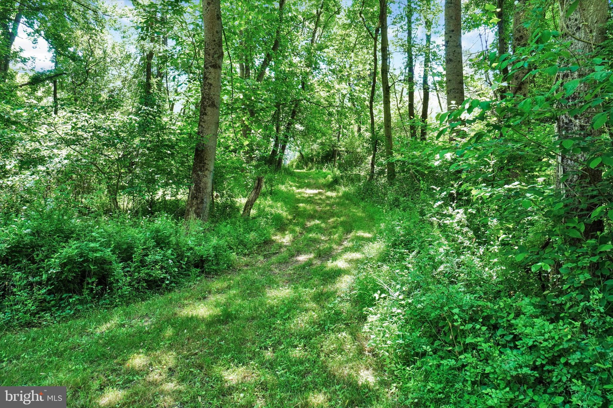 GUNPOWDER - Residential