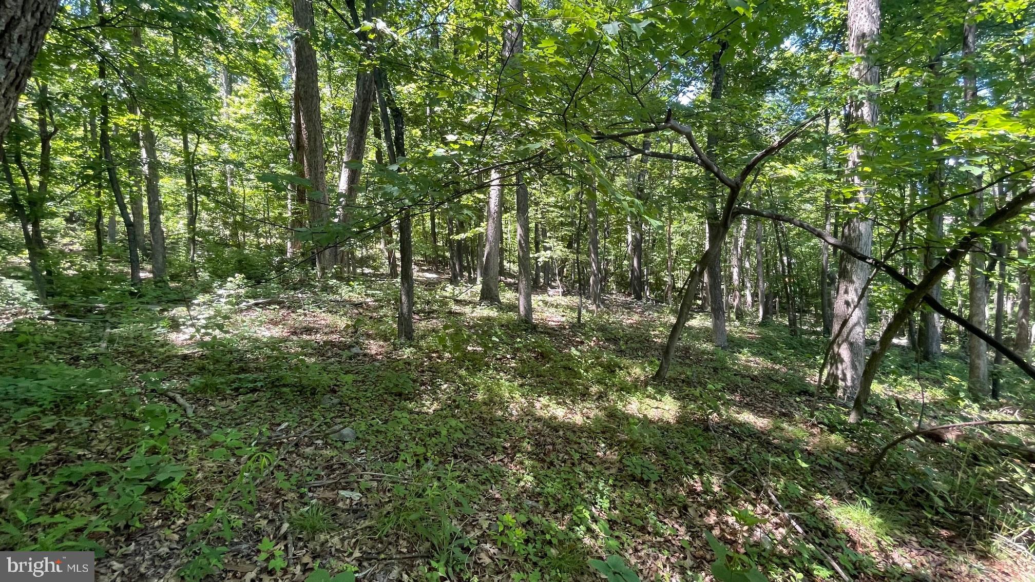 28 B FALCONWOOD