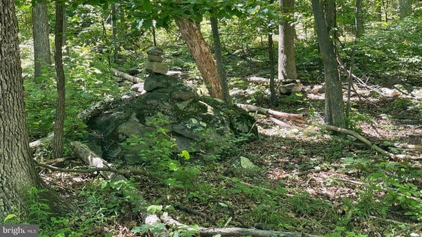 12 B ST, SHANKS, WV 26761 - Image f123d2c5af34ae32eee23e9b5a686d6b/3683244714