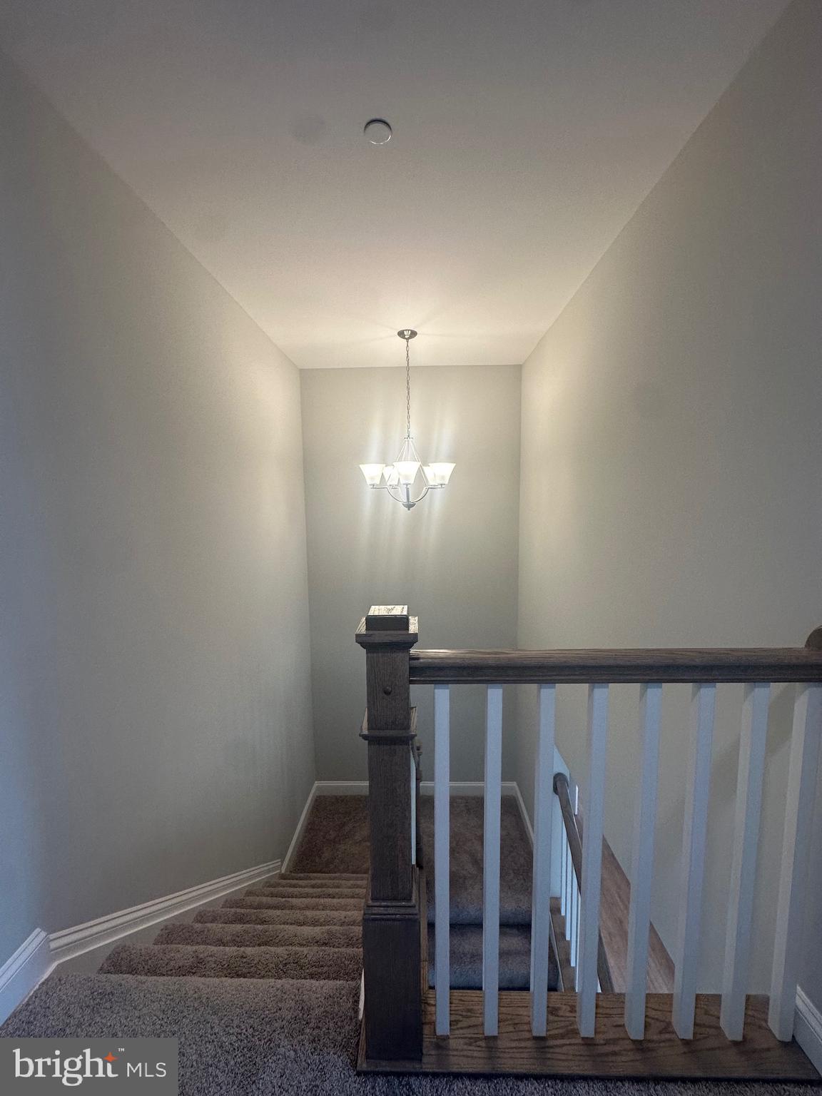 HIDDEN VIEW - Residential