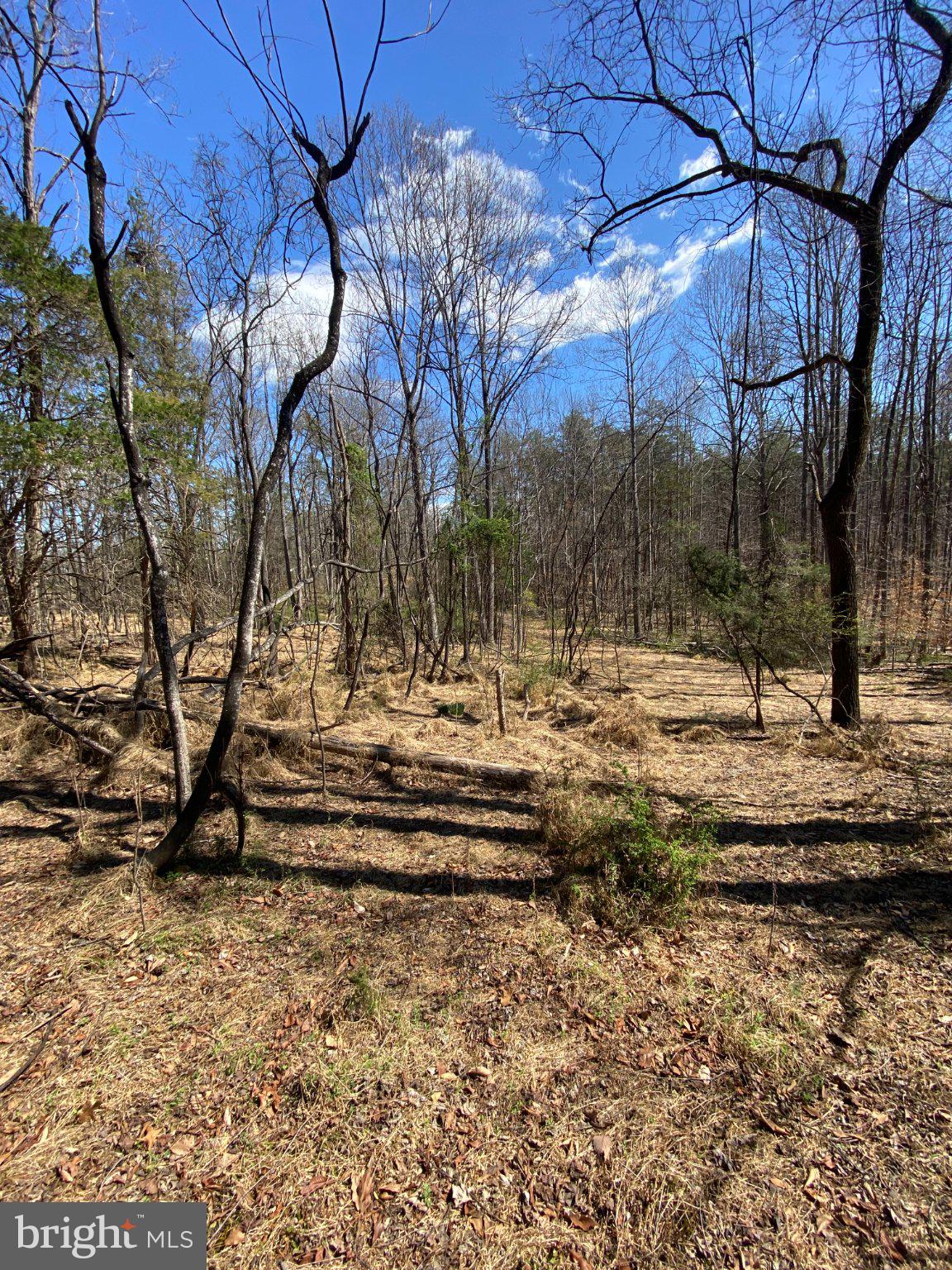 8424 KILBY ROAD