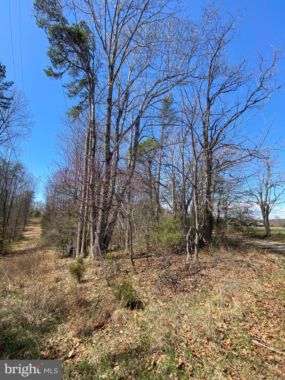 8424 KILBY ROAD