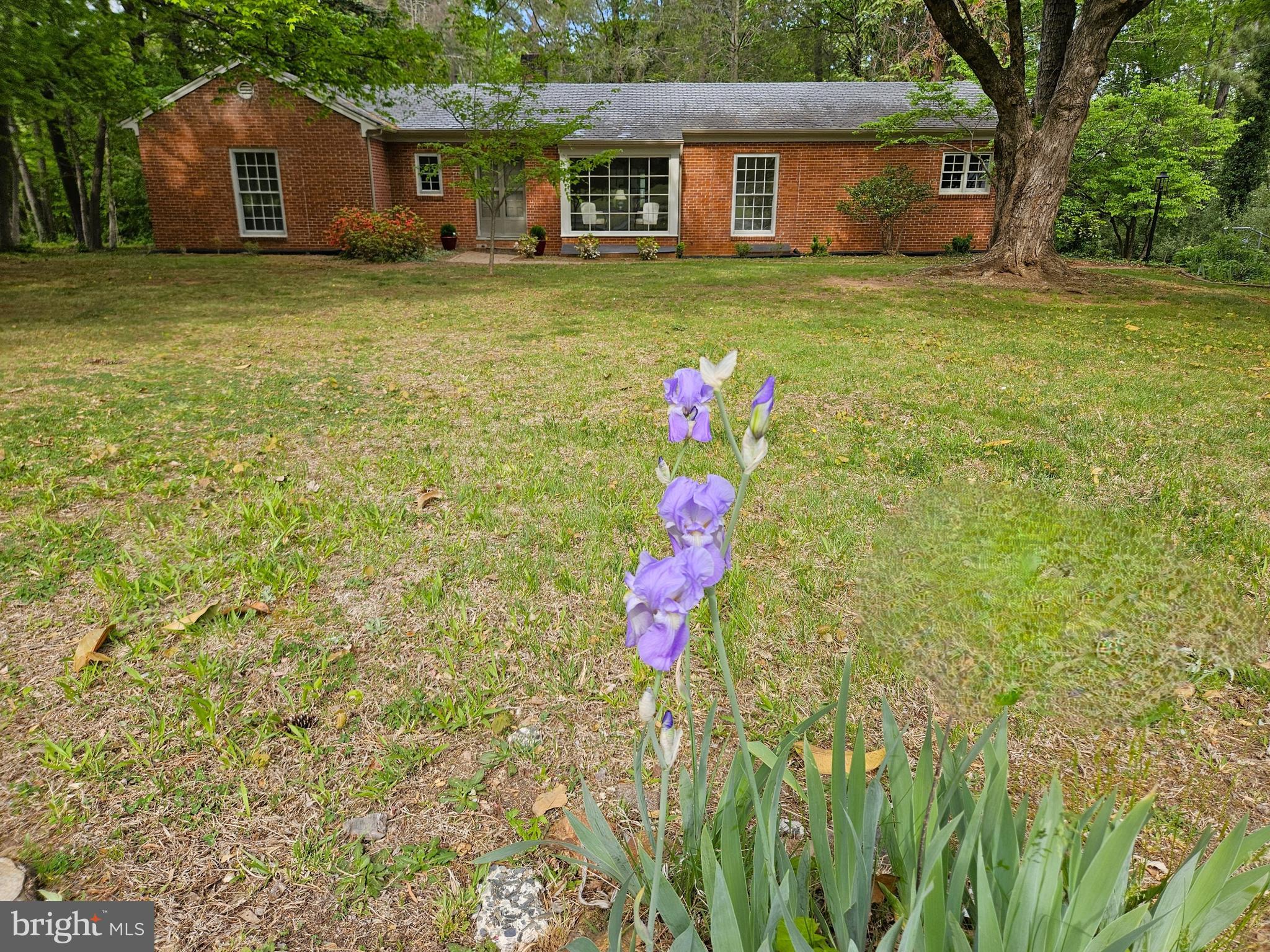 3271 ROSNEY ROAD