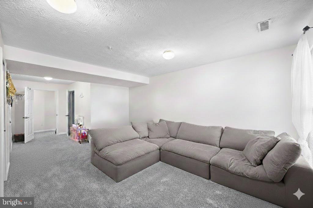 VILLAGE OF PAINTERS MILL - Residential