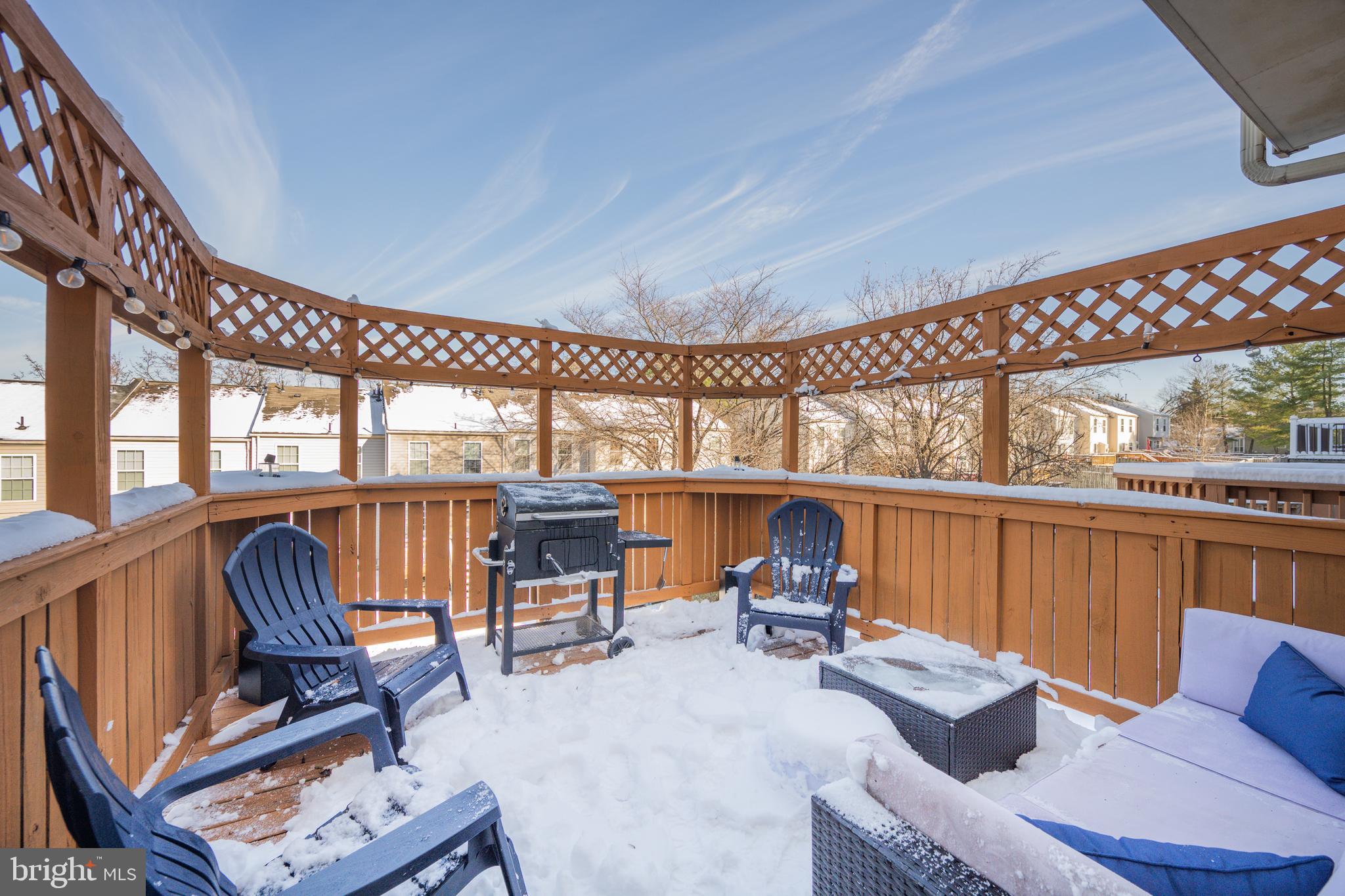 VILLAGE OF PAINTERS MILL - Residential