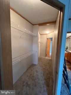 FOX PT - Residential