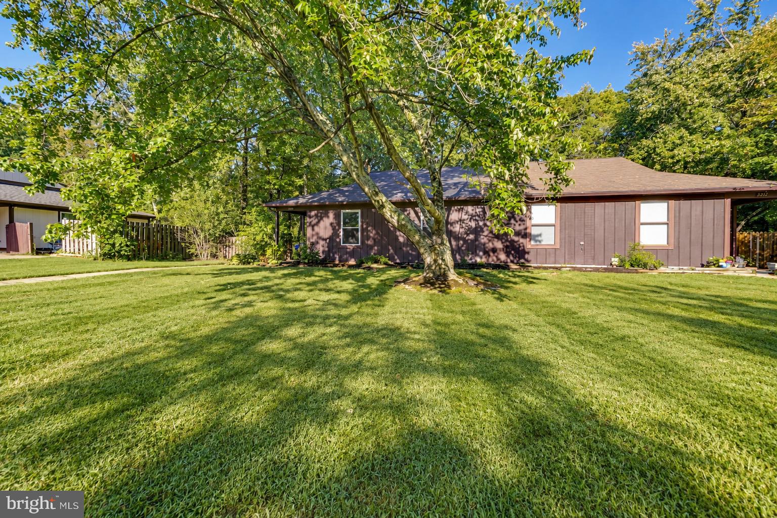 3381 JUSTICE COURT