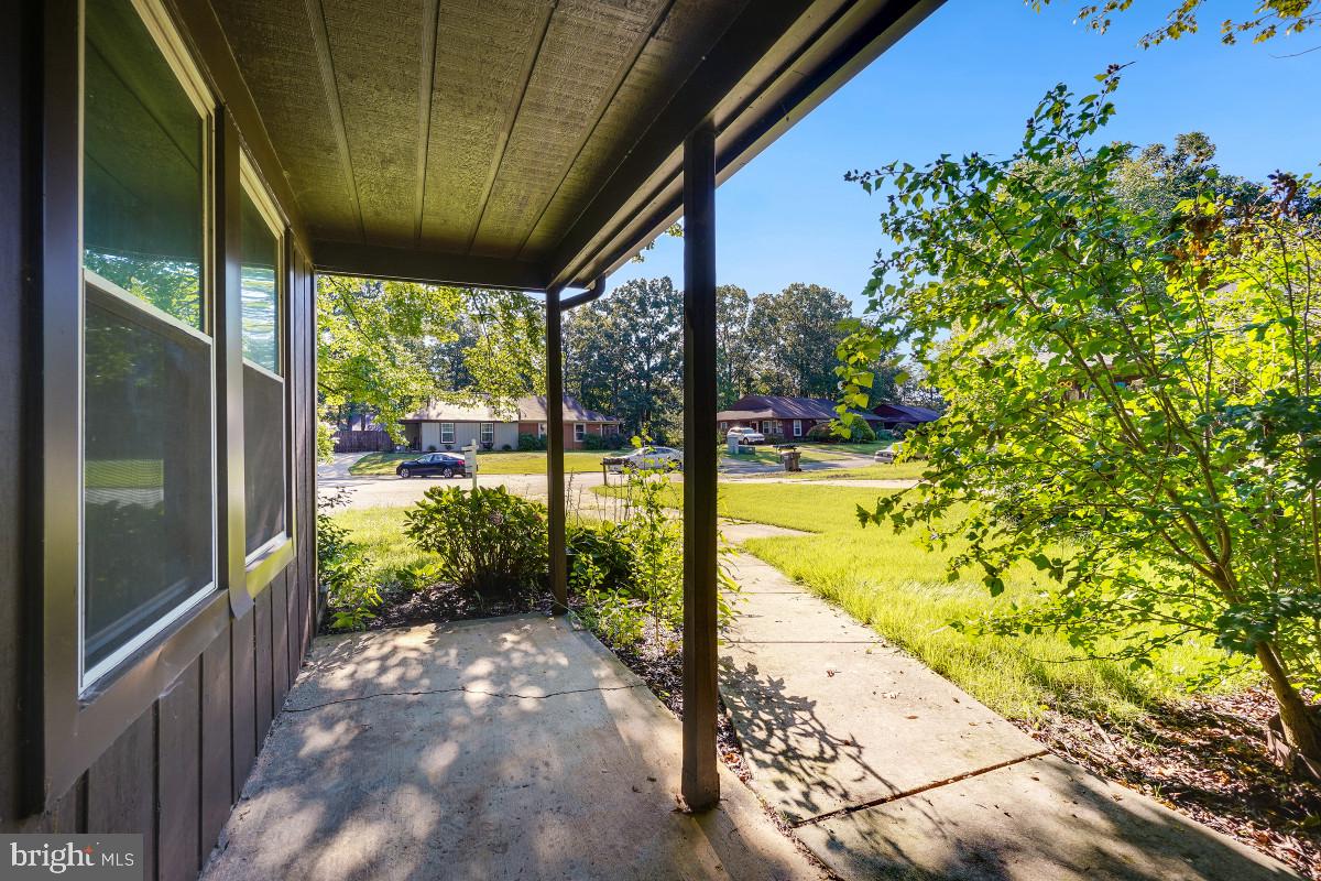 3381 JUSTICE COURT