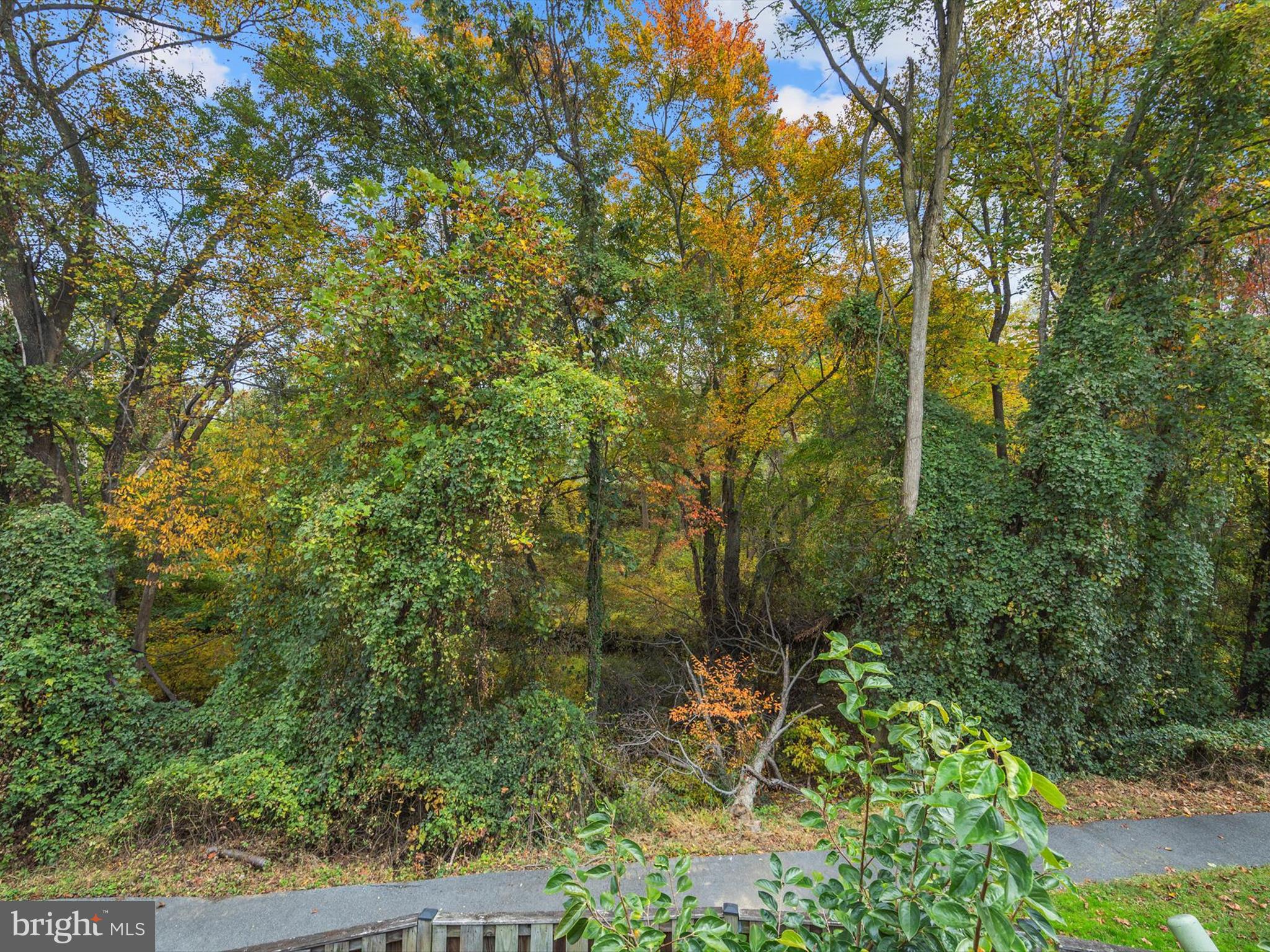 GERMANTOWN VIEW - Residential