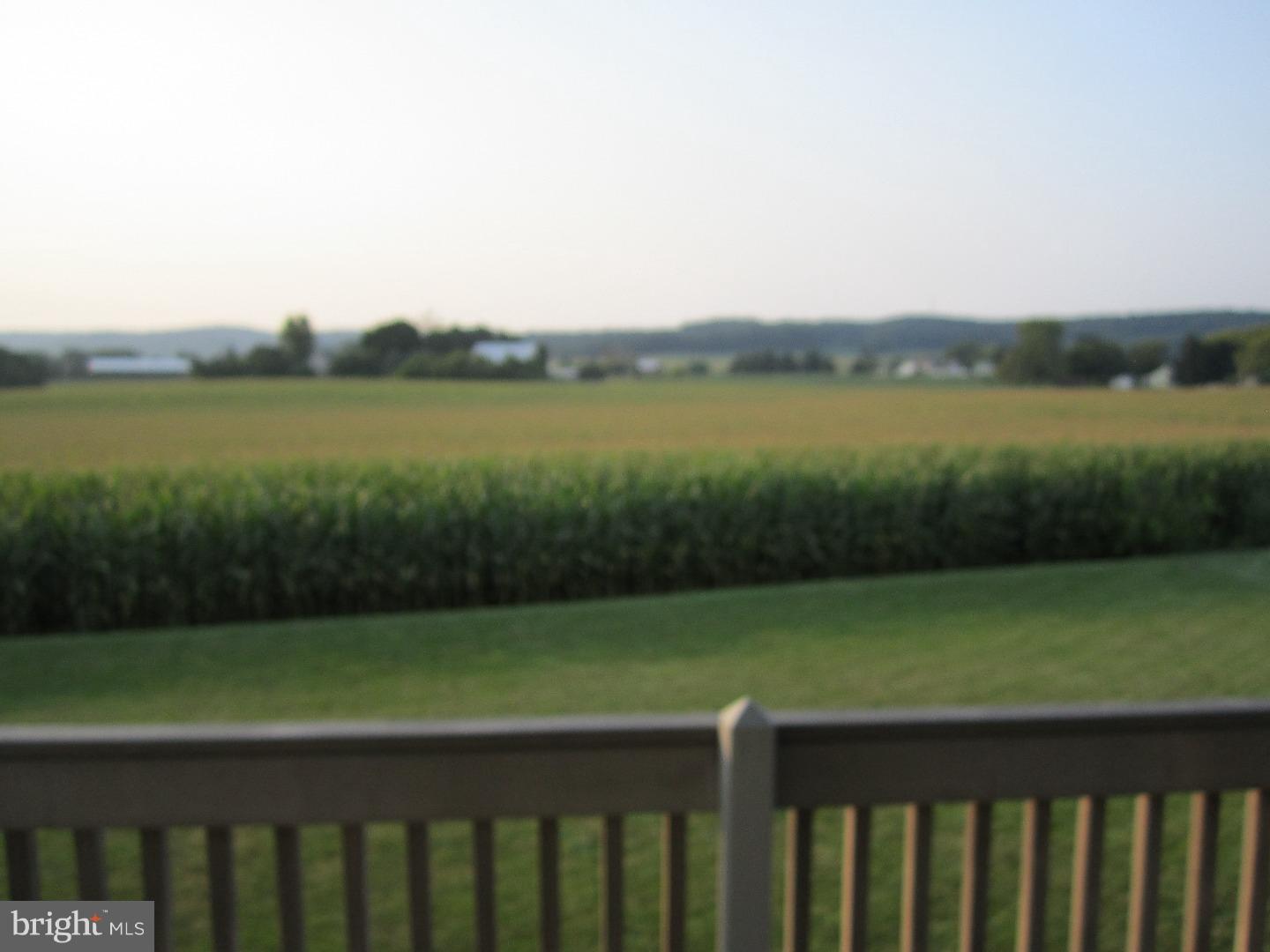 VILLAGE HOLLOW - Residential