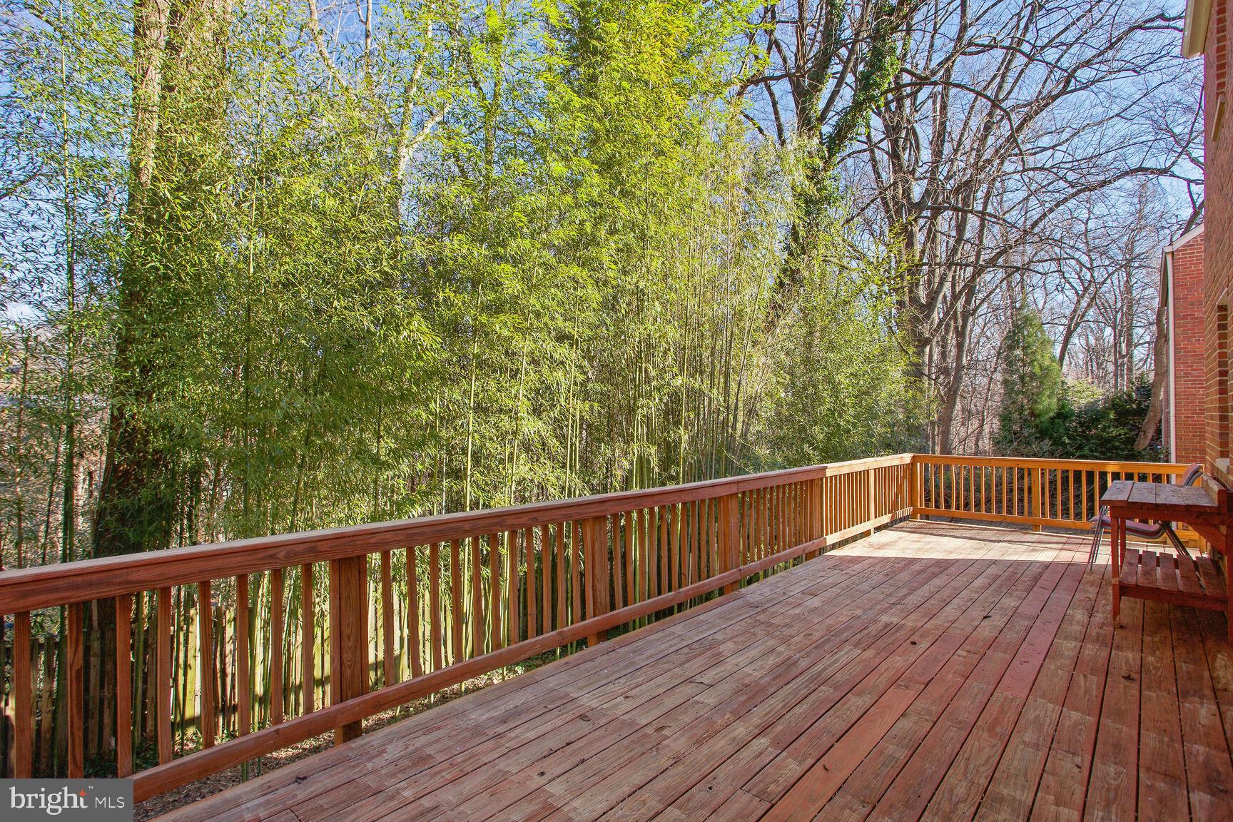 TAKOMA PARK - Residential