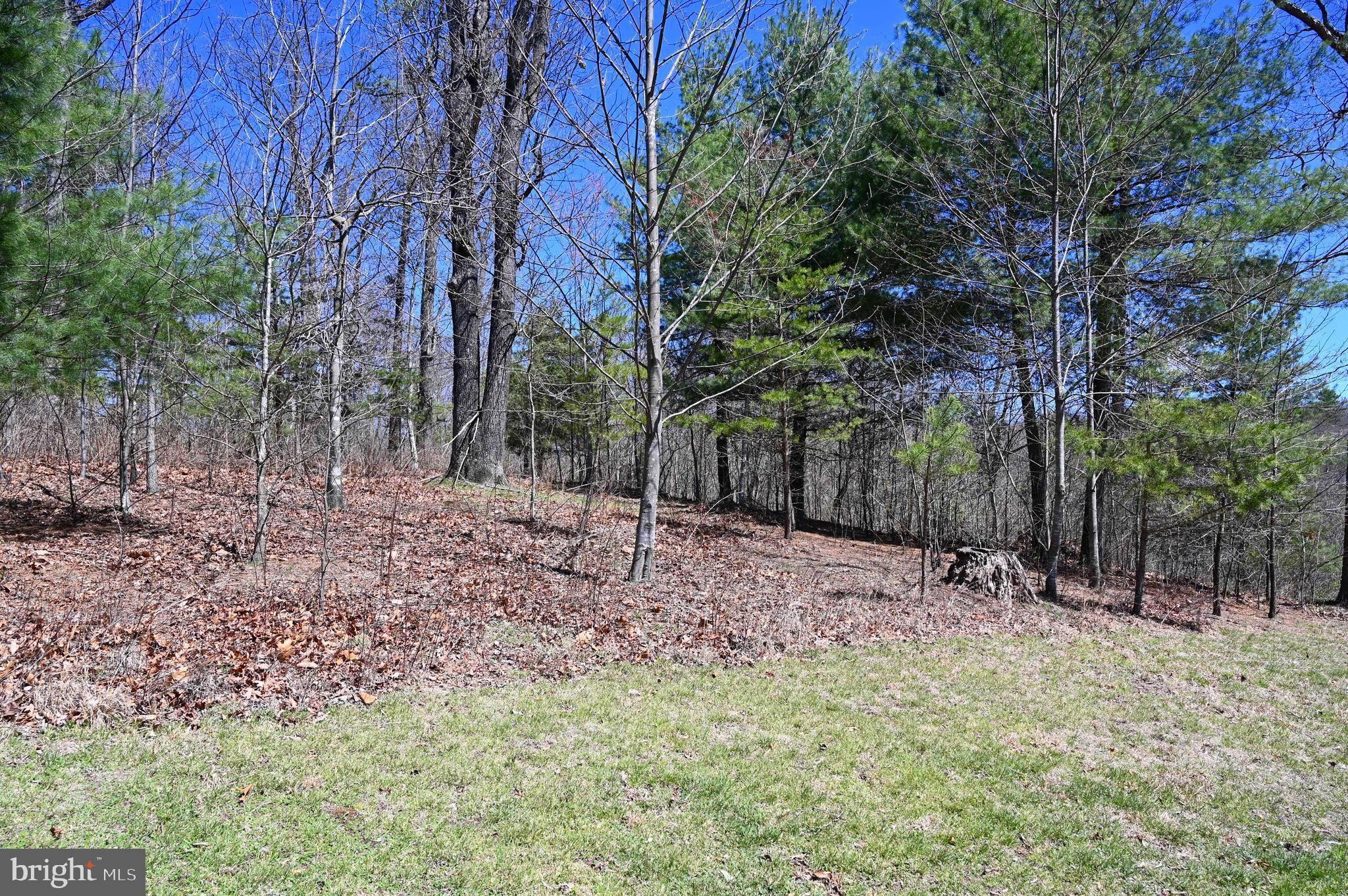 SHENANDOAH SKI & HUNT - Residential