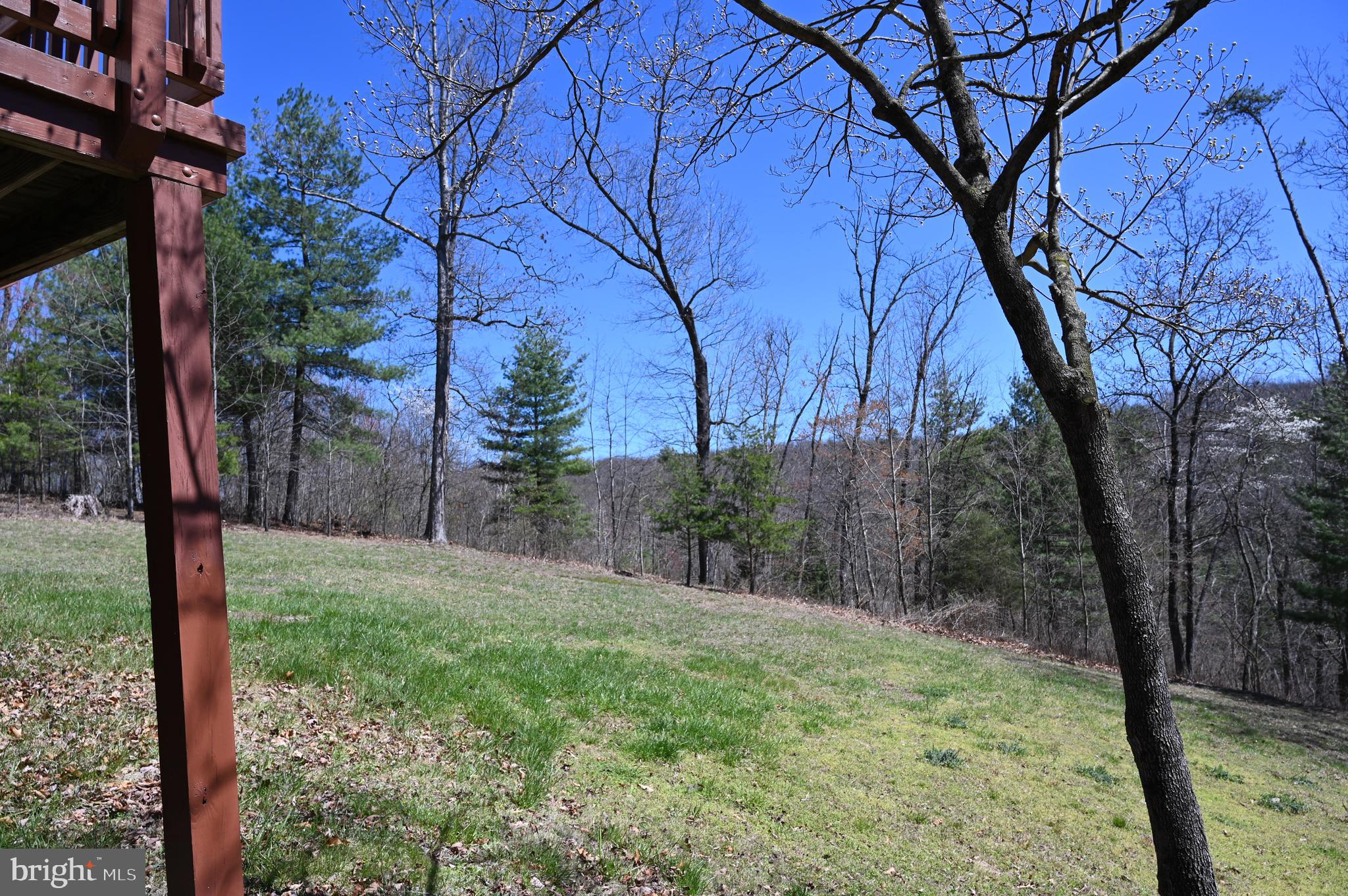 SHENANDOAH SKI & HUNT - Residential