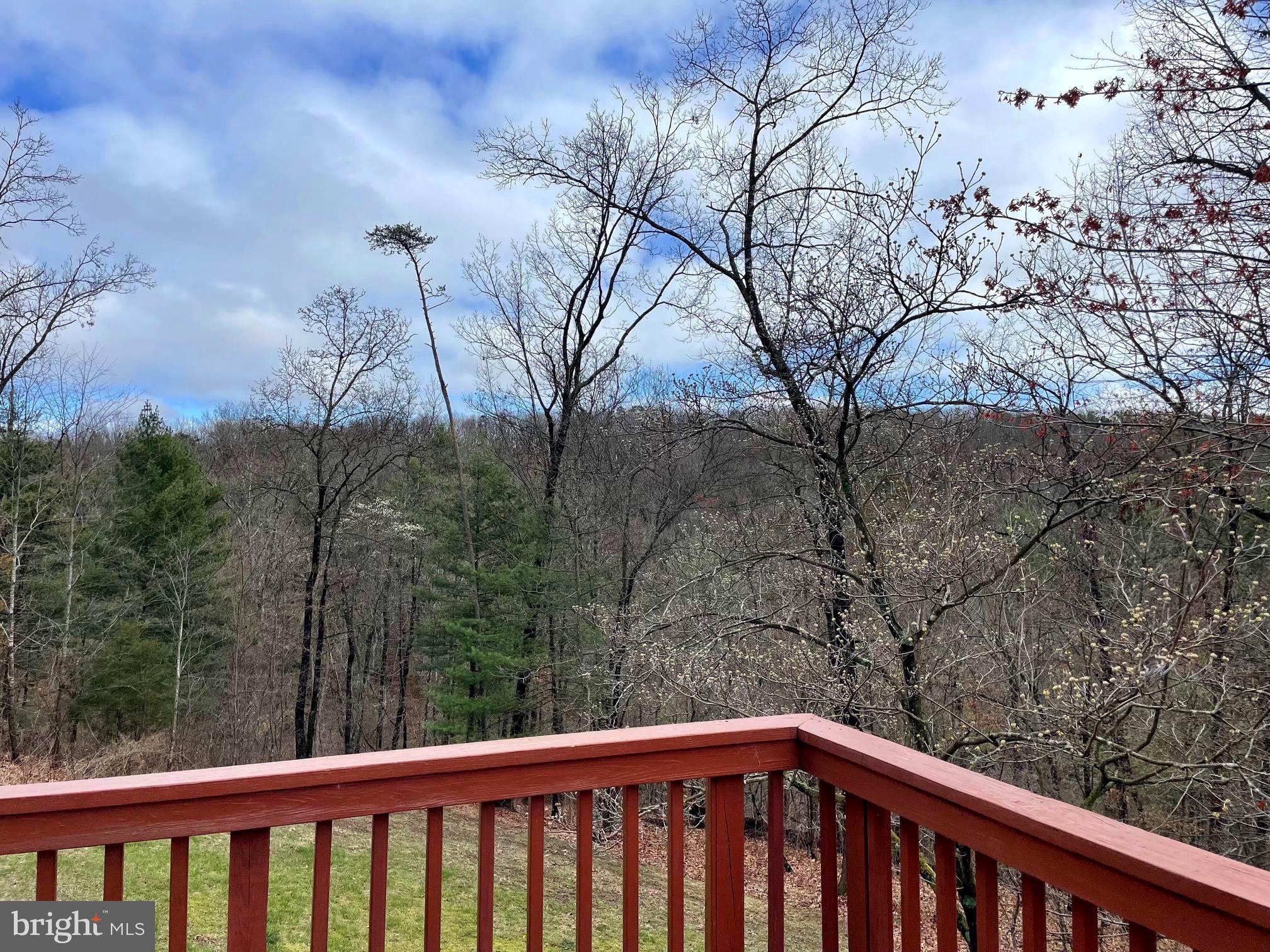 SHENANDOAH SKI & HUNT - Residential