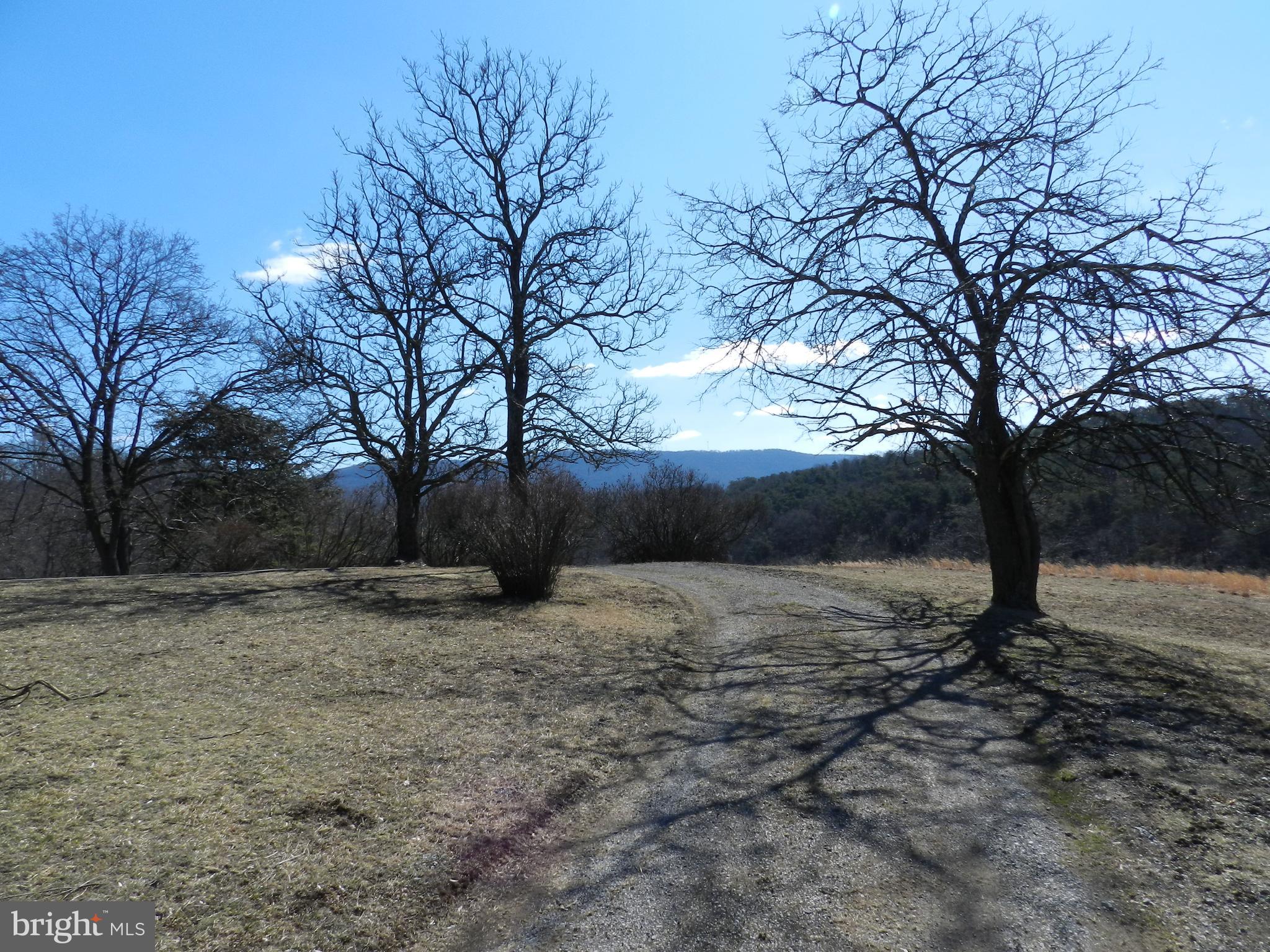 NONE AVAILABLE - Commercial Sale