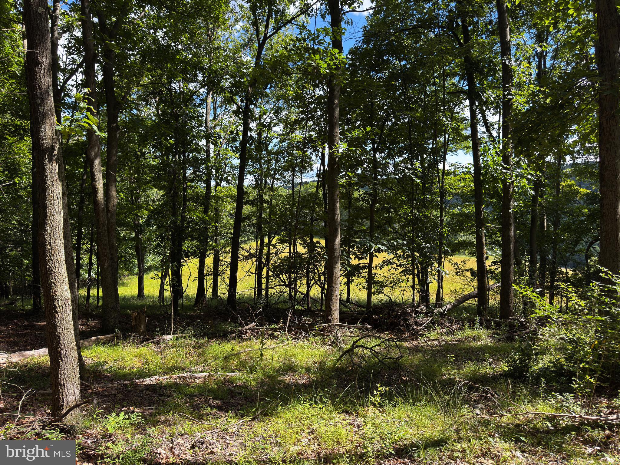 281 WHETSTONE RUN
