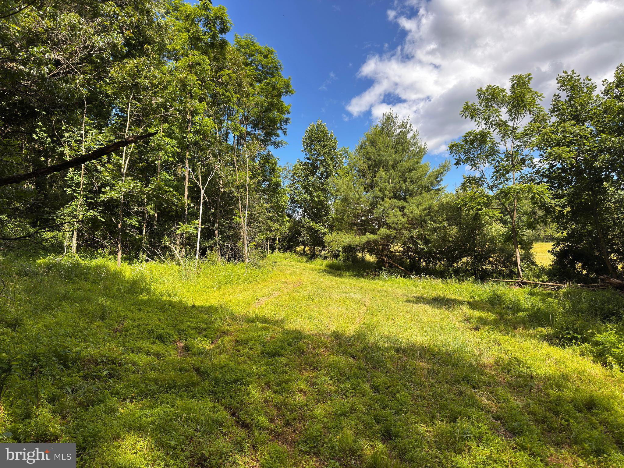 281 WHETSTONE RUN