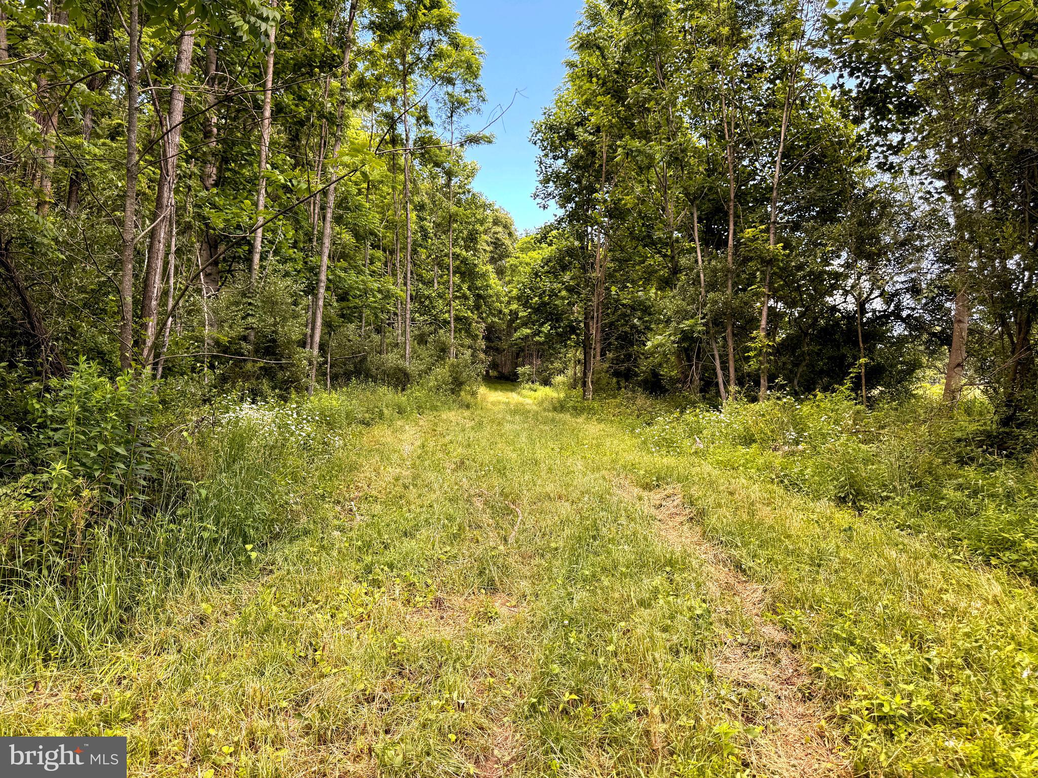 281 WHETSTONE RUN
