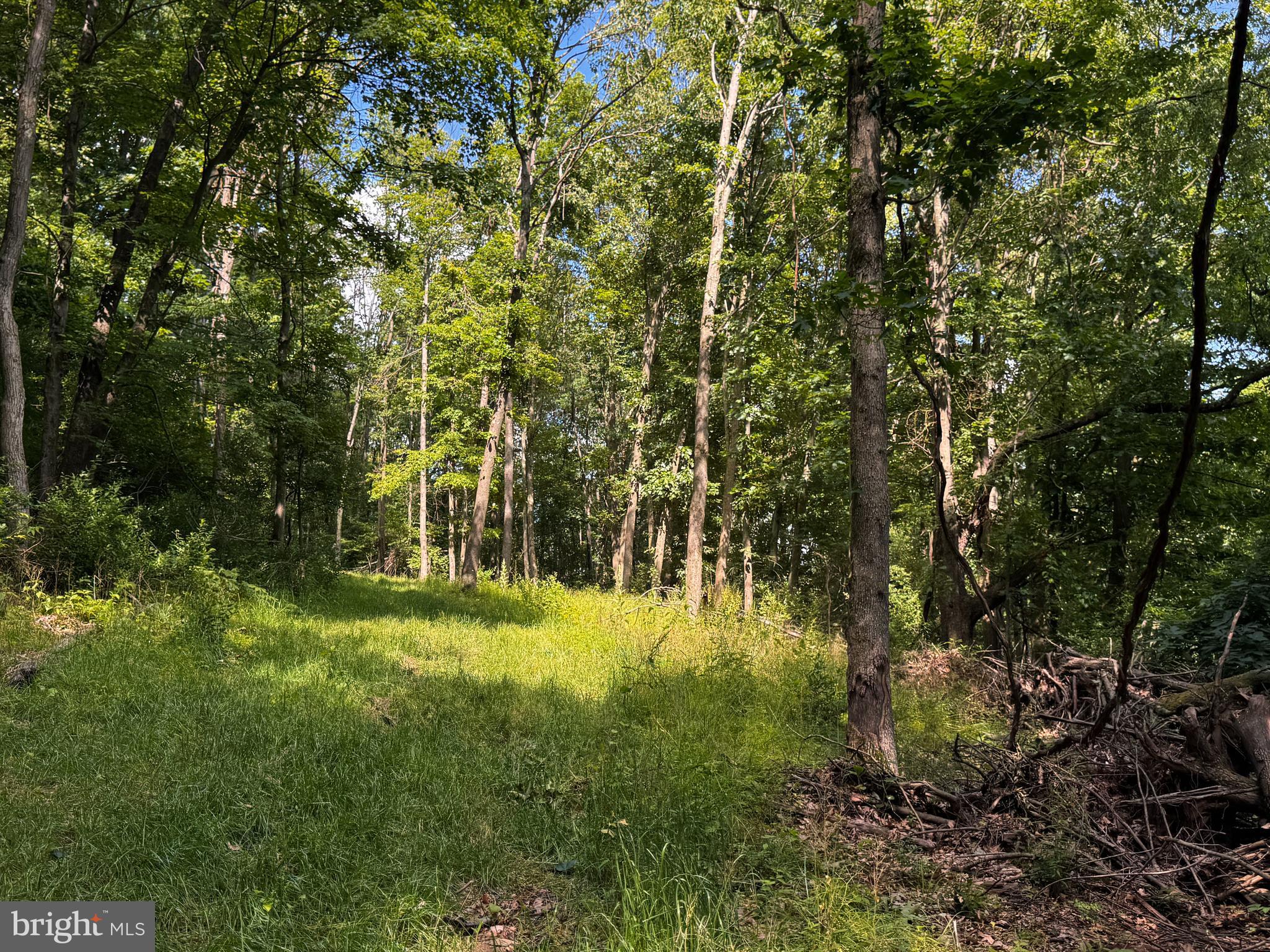 281 WHETSTONE RUN