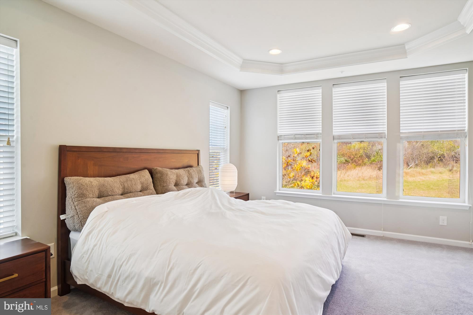 WOODLANDS PRESERVE AT WESTWINDS - Residential