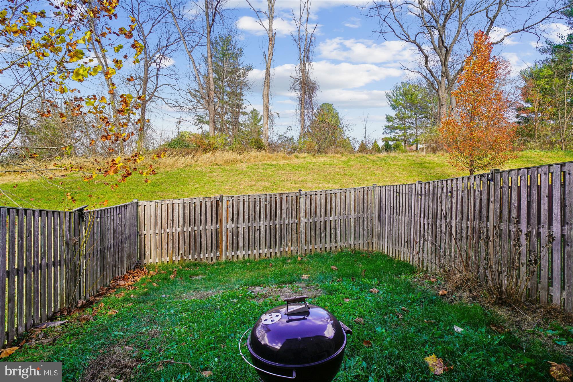 WOODLANDS PRESERVE AT WESTWINDS - Residential