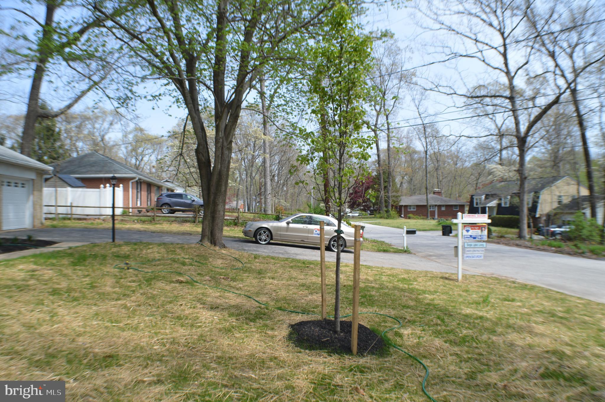 SELBY GROVE - Residential