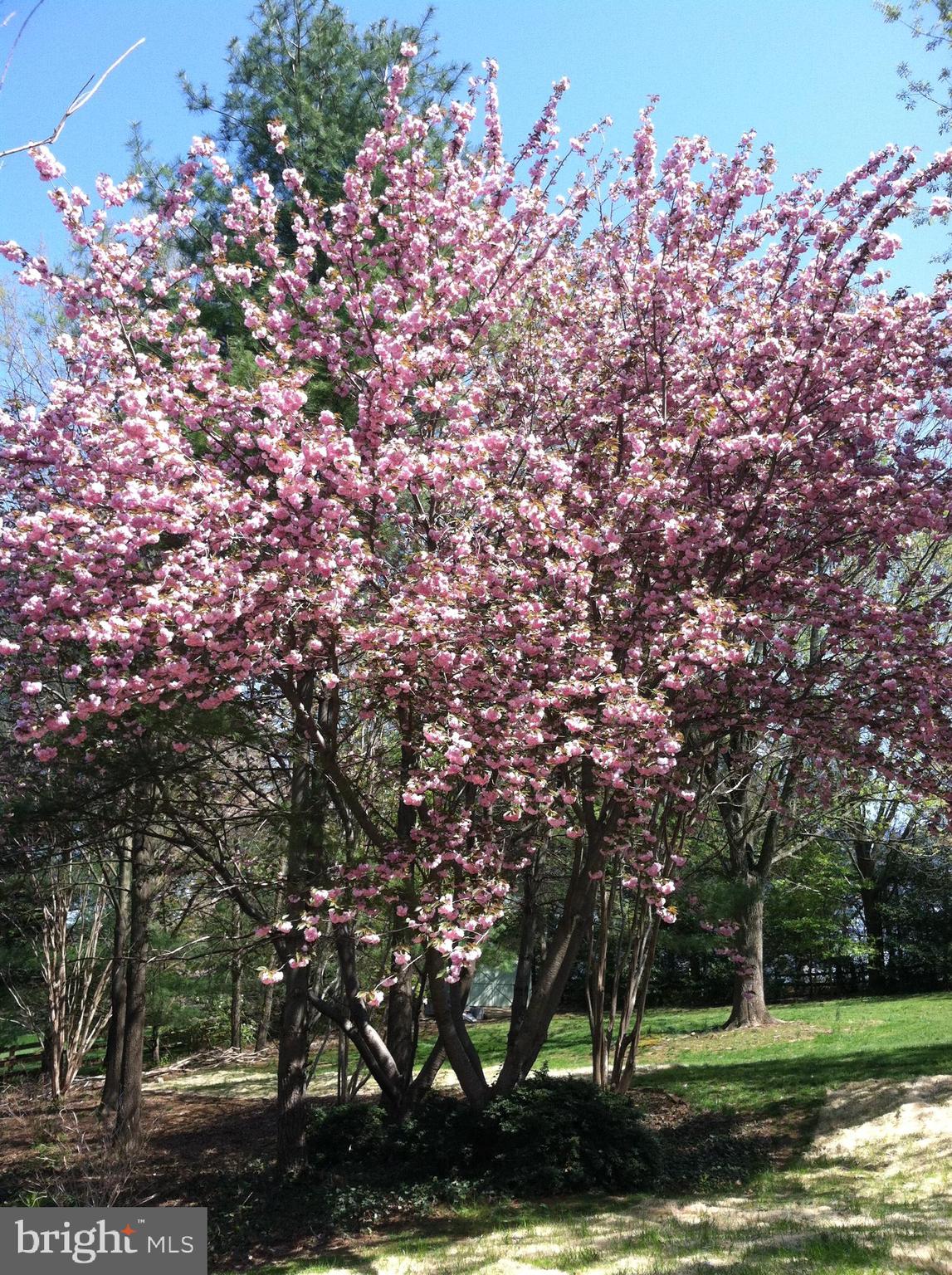 GOODLEY MANOR - Residential