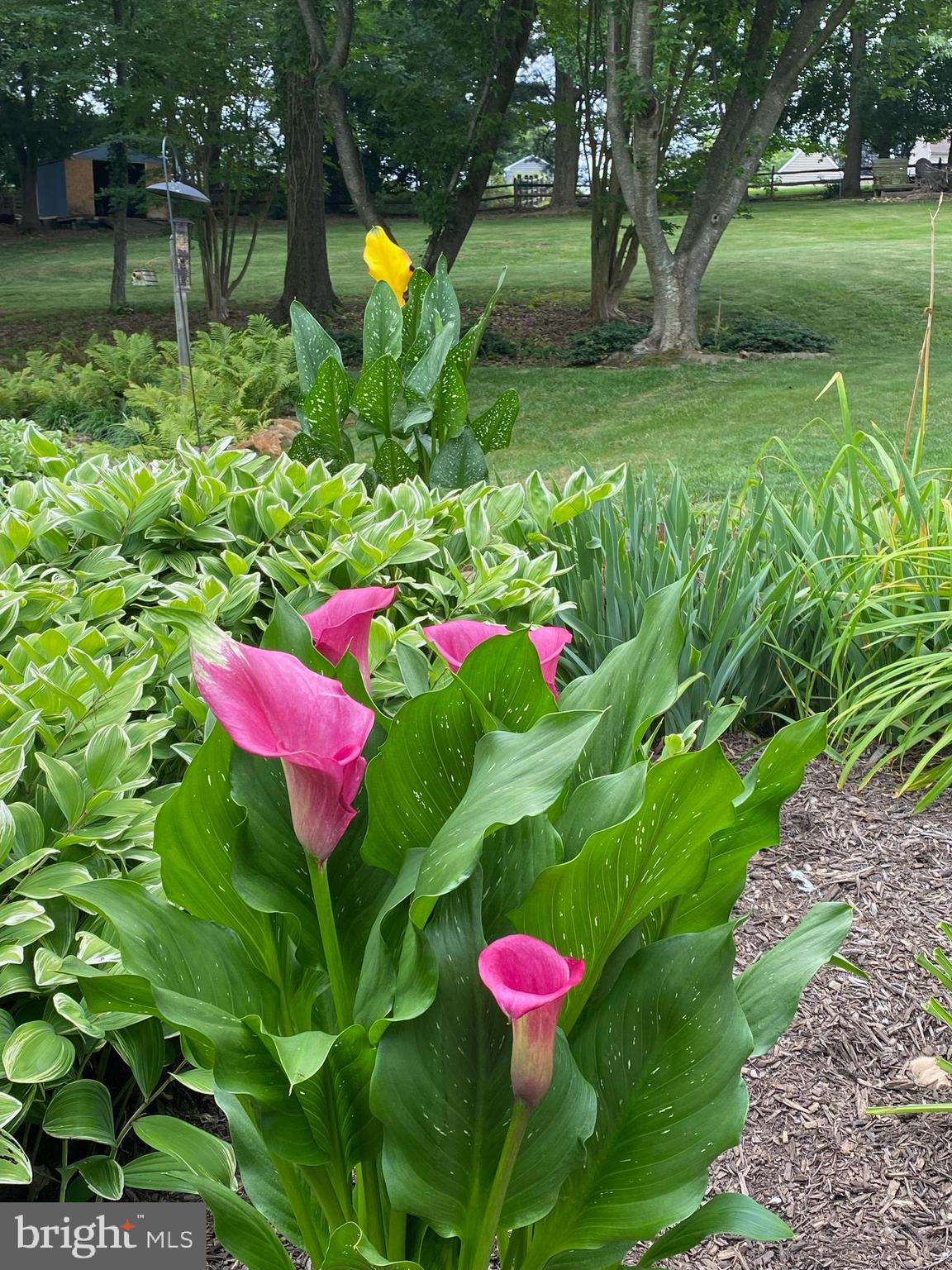 GOODLEY MANOR - Residential