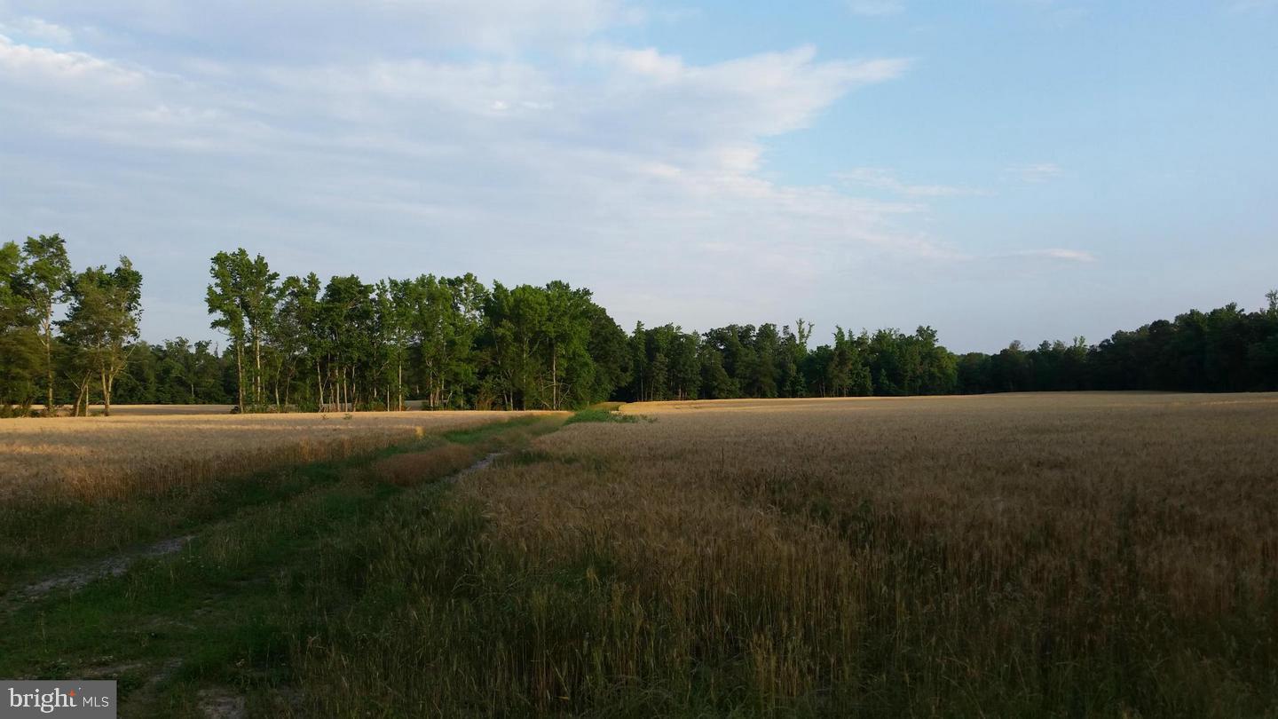 TAX IDs 35 71&71C STONEY KNOLL AND KINGS MILL ROADS