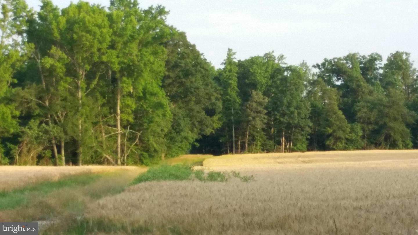 TAX IDs 35 71&71C STONEY KNOLL AND KINGS MILL ROADS