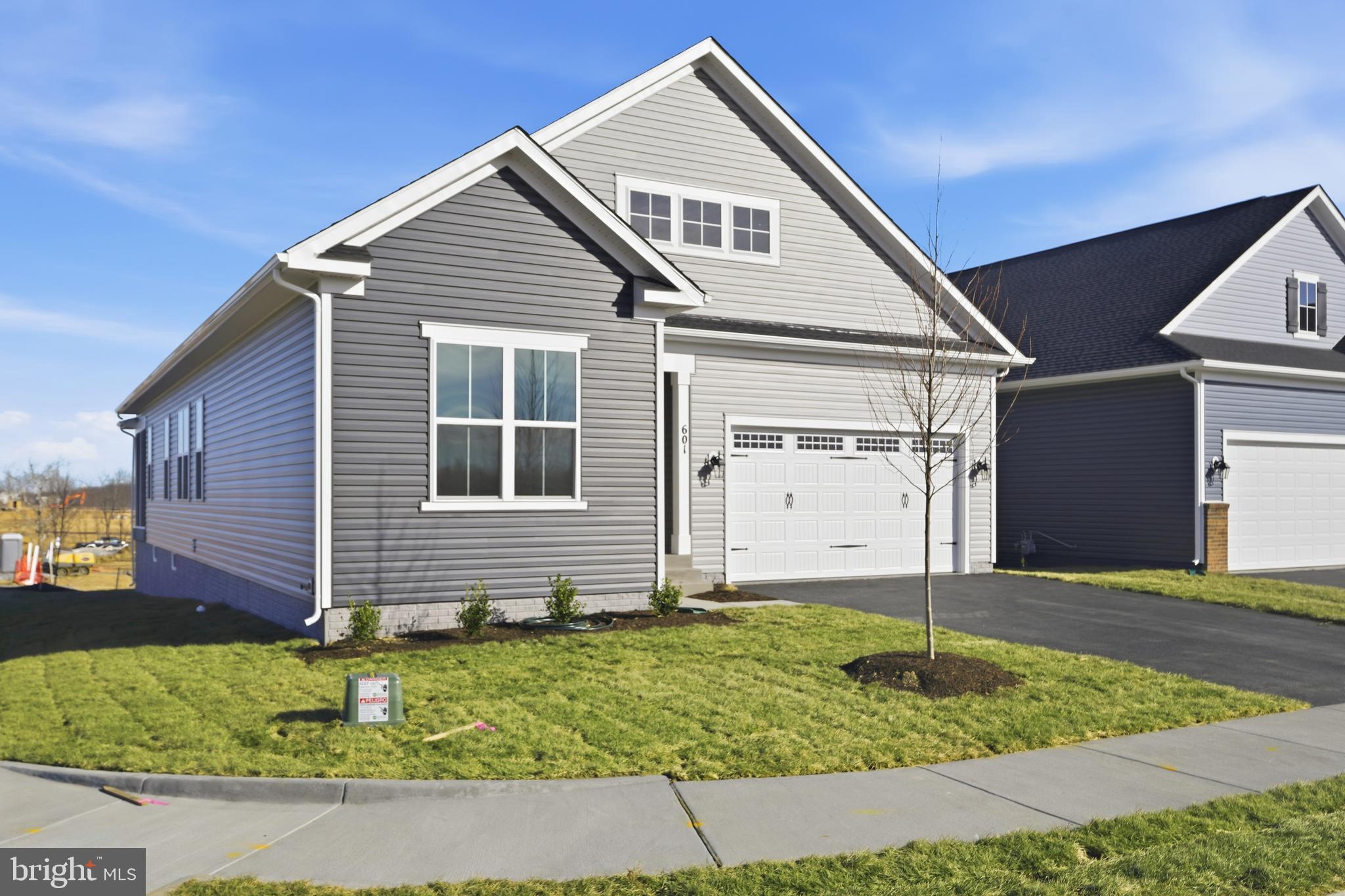 HIATT POINTE AT SNOWDEN BRIDGE - Residential