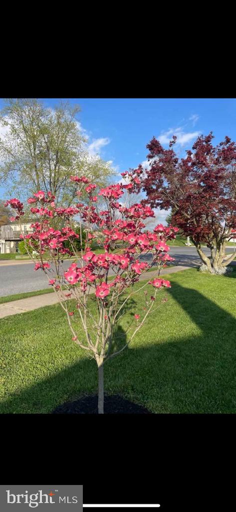 AUTUMN RIDGE - Residential