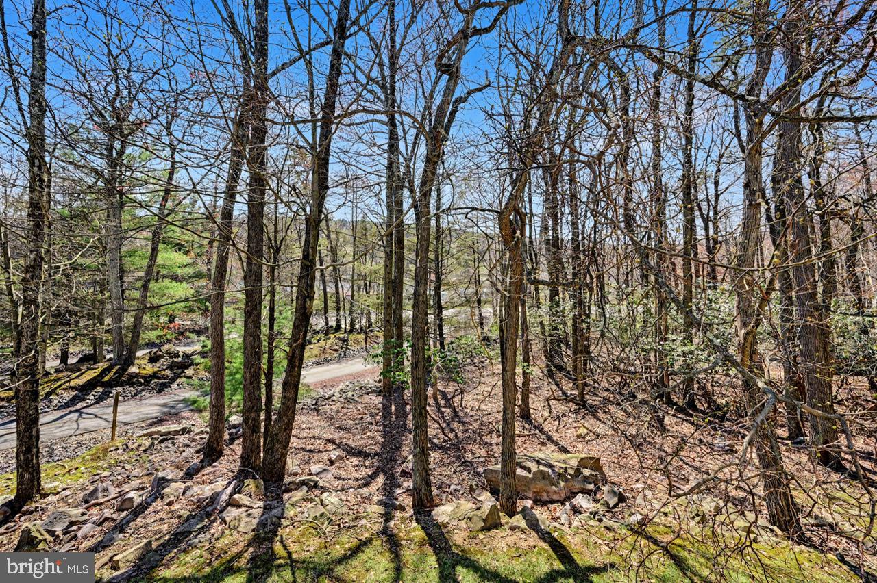 LAUREL WOODS - Residential