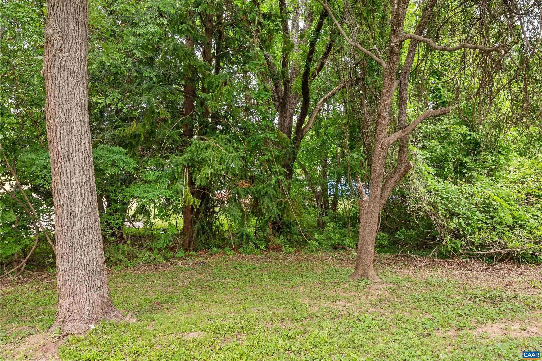 Additional image 72 of 108 Vaughan Dr St, Farmville, VA 23901