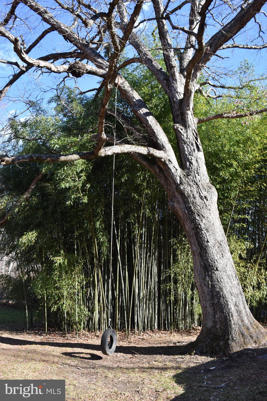 COOLFONT - Residential