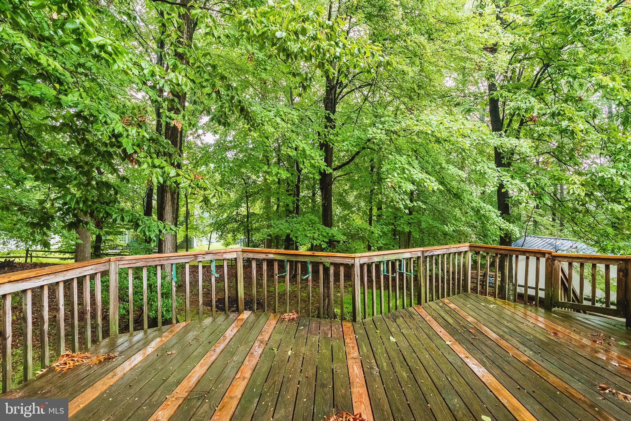 LAUREL WOODS - Residential