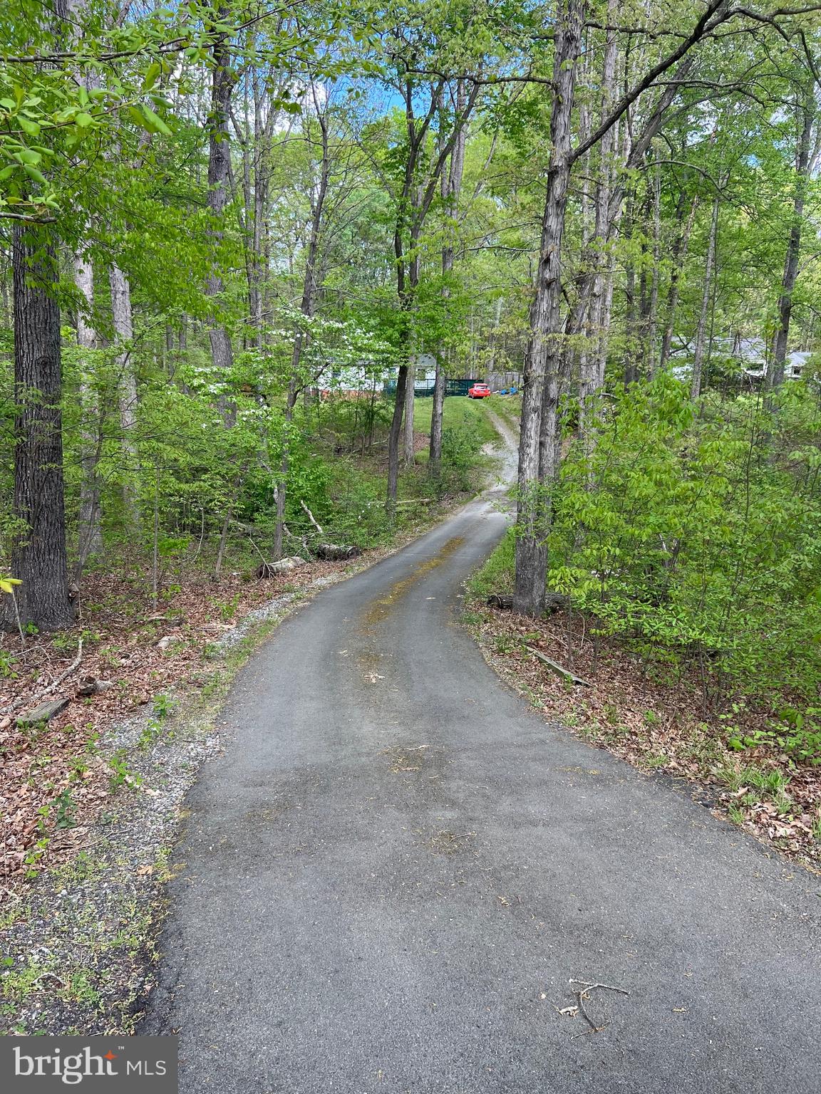 SHADE TREE - Residential