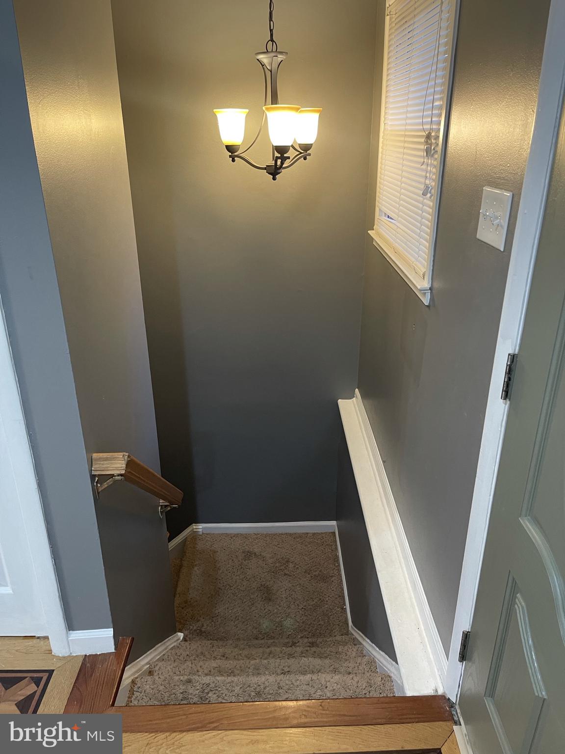 BARNETTE FOREST - Residential