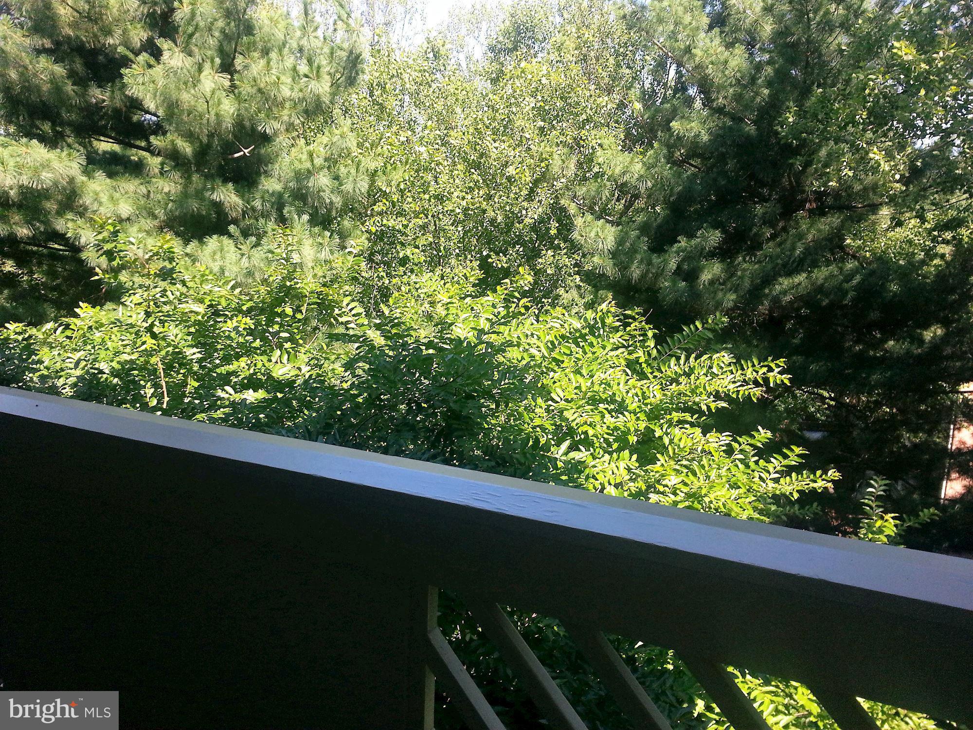 BALDWIN GROVE - Residential