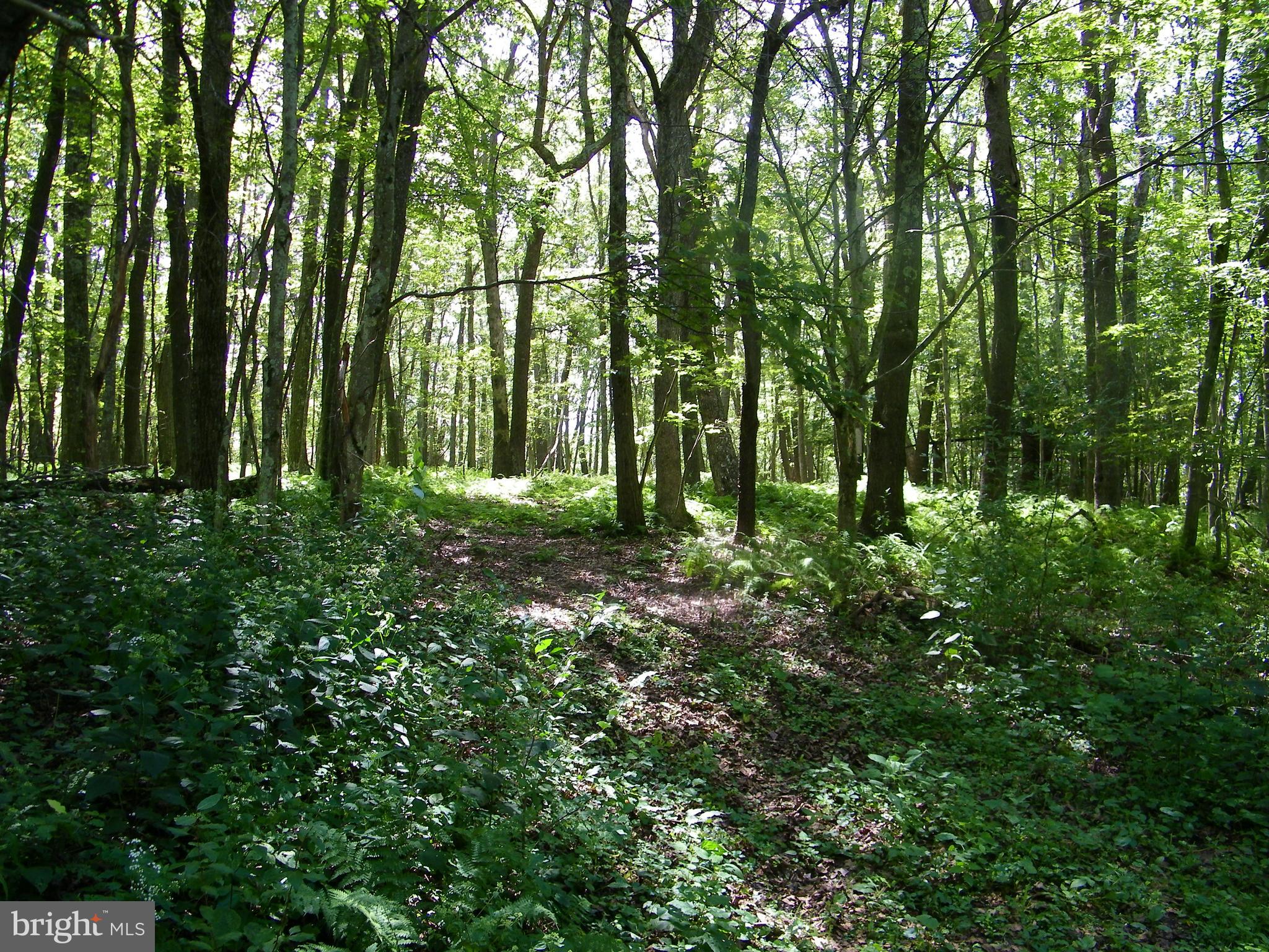 GEORGE BRUNSON - Land