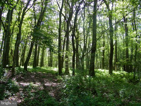 Vacant Land For Sale - Longview Lane<br/> OAKLAND, MD 21550