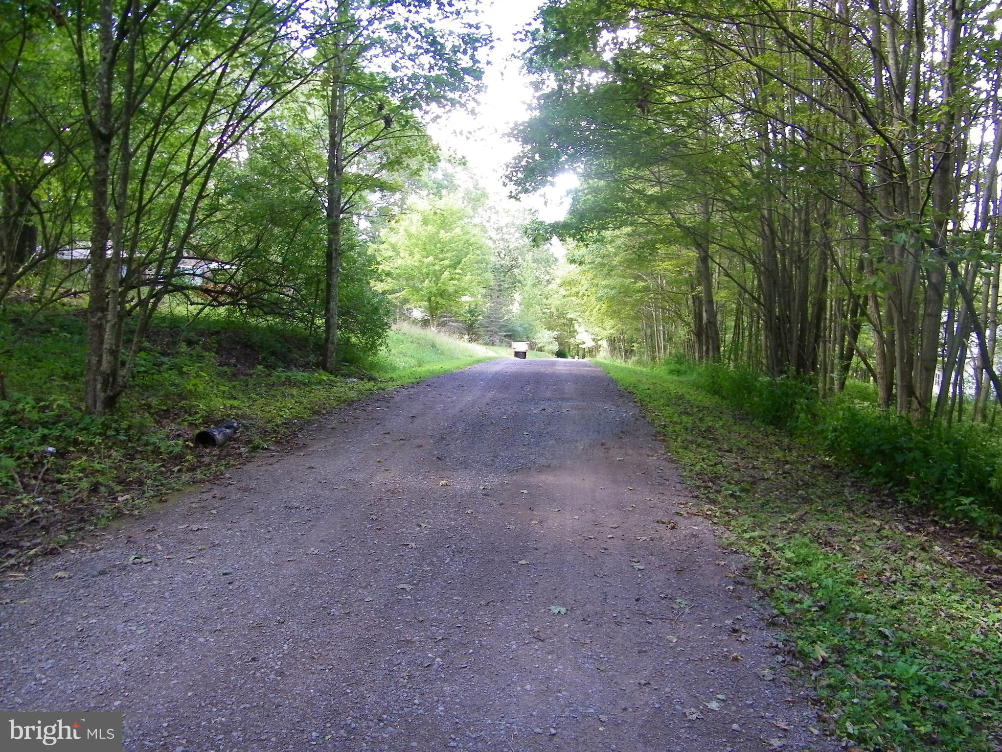 GEORGE BRUNSON - Land