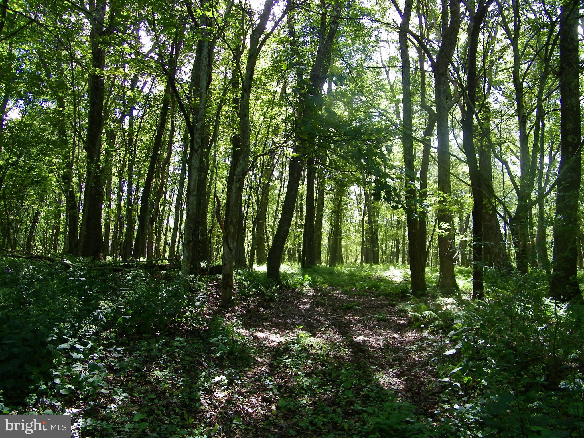 GEORGE BRUNSON - Land