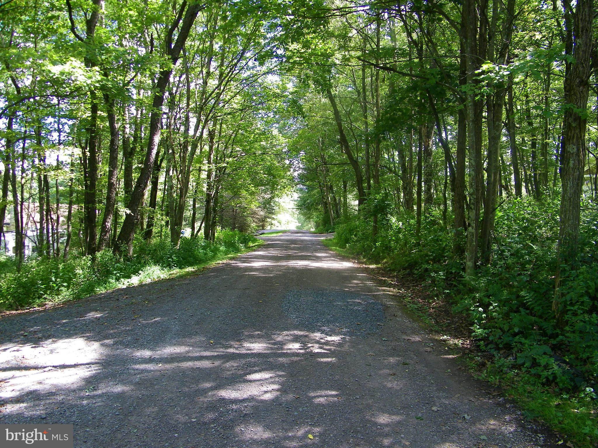 GEORGE BRUNSON - Land